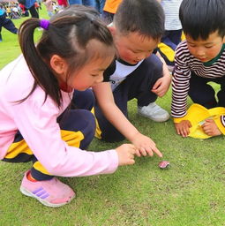 澧縣食品幼兒園城頭山研學實踐活動